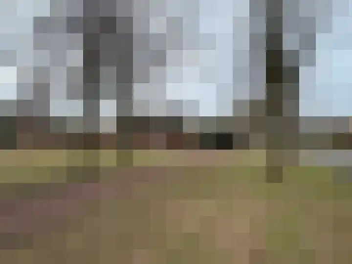 Brinkkampen 8 Dalen thumbnail 36