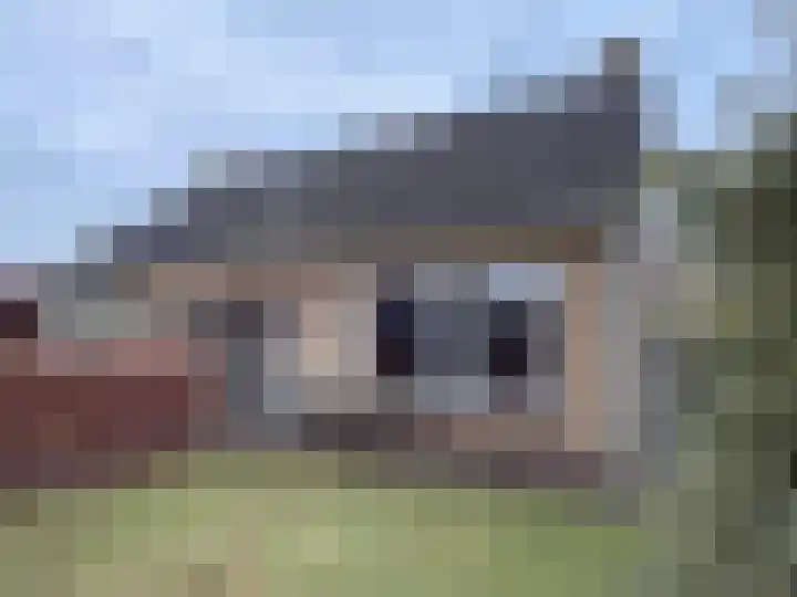 Brinkkampen 8 Dalen thumbnail 6