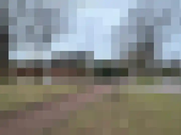 Brinkkampen 8 Dalen thumbnail 7