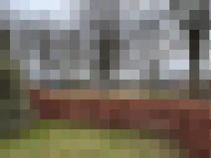 Brinkkampen 8 Dalen thumbnail 8