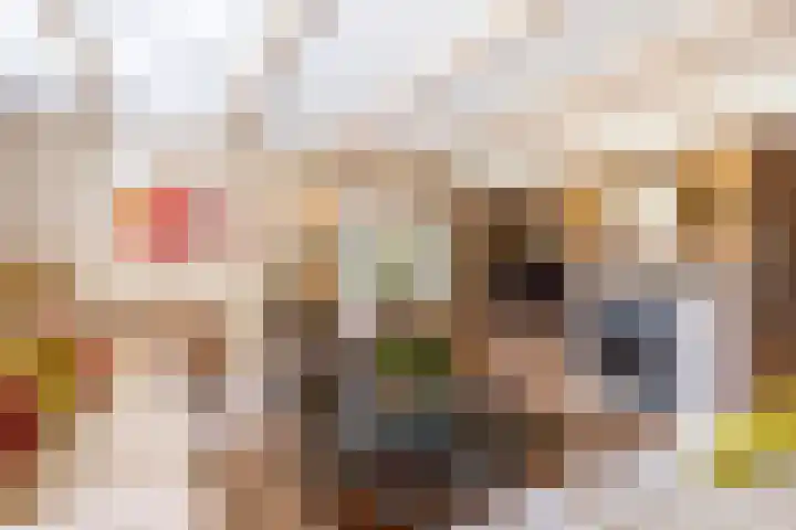 Brinkkanterweg 14 Scherpenzeel thumbnail 12