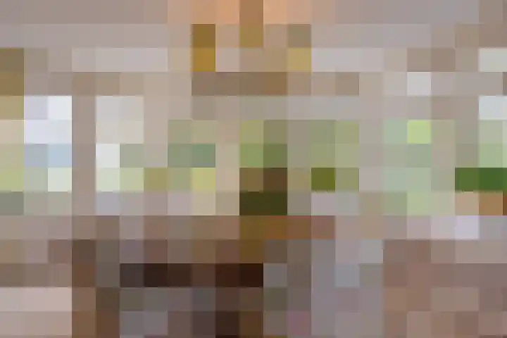 Brinkkanterweg 14 Scherpenzeel thumbnail 15
