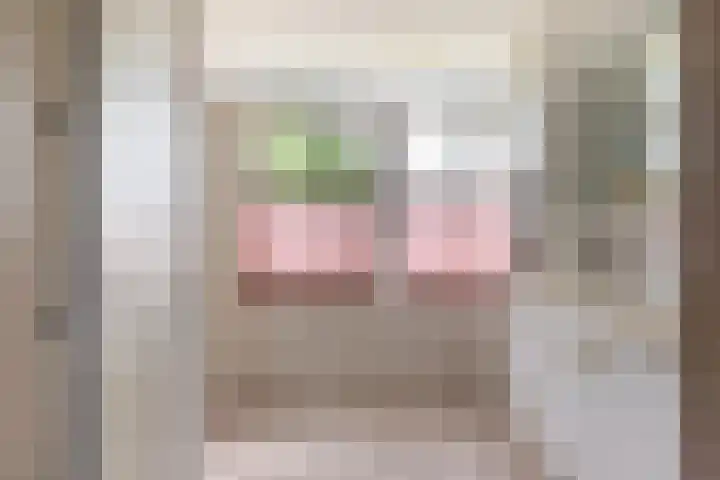 Brinkkanterweg 14 Scherpenzeel thumbnail 28