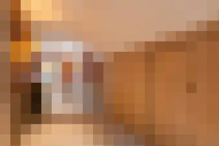 Brinkkanterweg 14 Scherpenzeel thumbnail 29