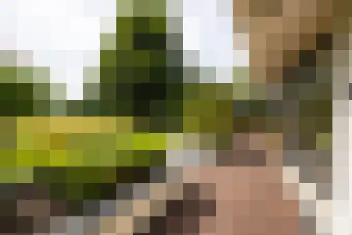 Brinkkanterweg 14 Scherpenzeel thumbnail 30