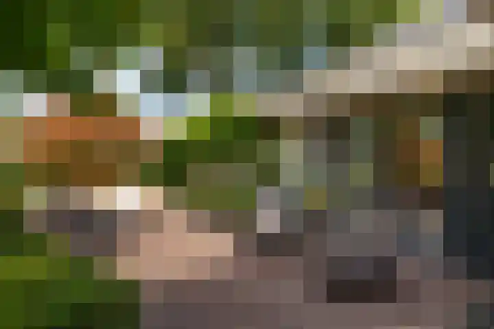 Brinkkanterweg 14 Scherpenzeel thumbnail 32