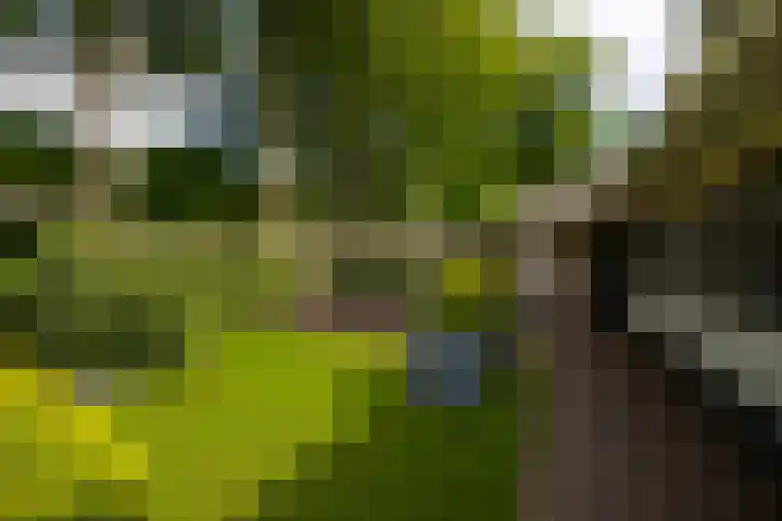 Brinkkanterweg 14 Scherpenzeel thumbnail 33