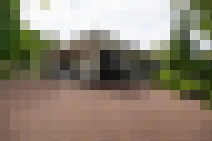 Brinkkanterweg 14 Scherpenzeel thumbnail 34