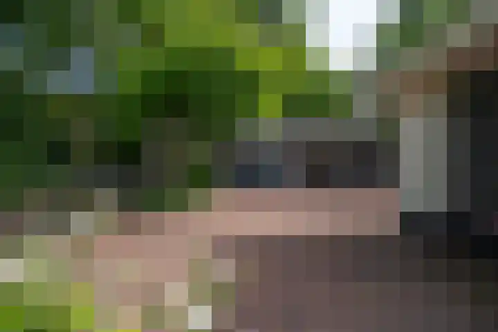 Brinkkanterweg 14 Scherpenzeel thumbnail 36