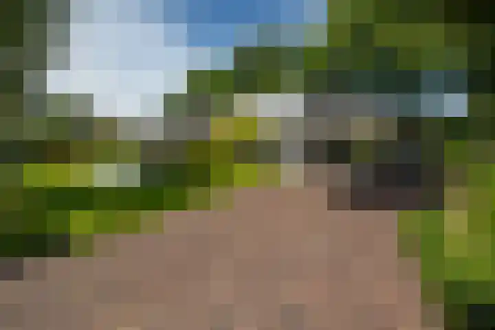 Brinkkanterweg 14 Scherpenzeel thumbnail 4