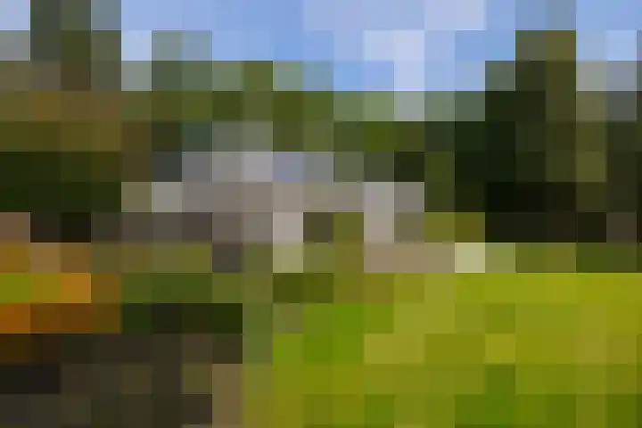 Brinkkanterweg 14 Scherpenzeel thumbnail 5