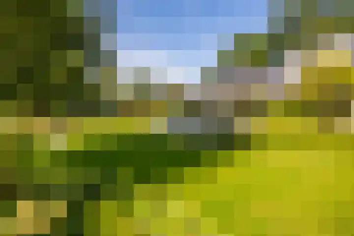 Brinkkanterweg 14 Scherpenzeel thumbnail 6