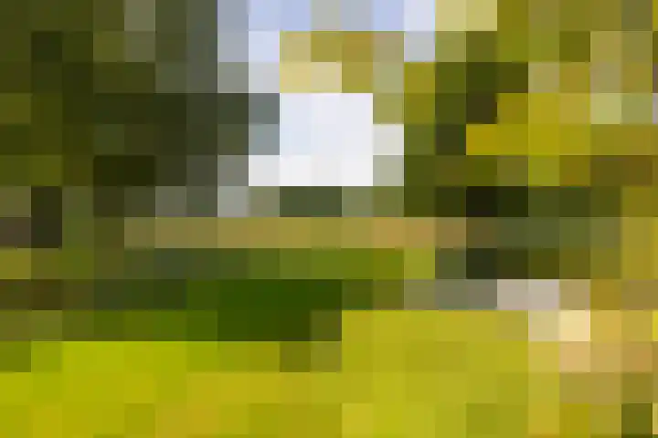 Brinkkanterweg 14 Scherpenzeel thumbnail 7