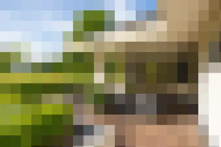 Brinkkanterweg 14 Scherpenzeel thumbnail 8