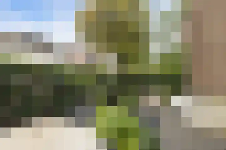 Brinklaan 115 A 1 Bussum thumbnail 22