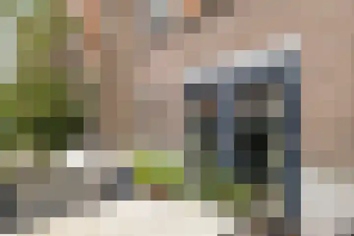 Brinklaan 115 A 1 Bussum thumbnail 23