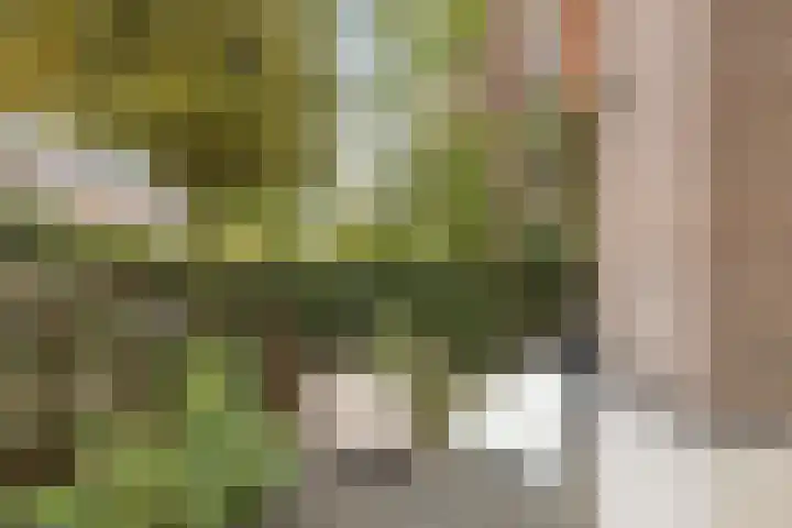 Brinklaan 115 A 1 Bussum thumbnail 24