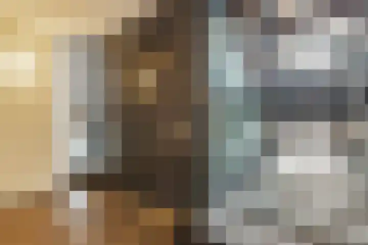 Brinklaan 115 A 1 Bussum thumbnail 30