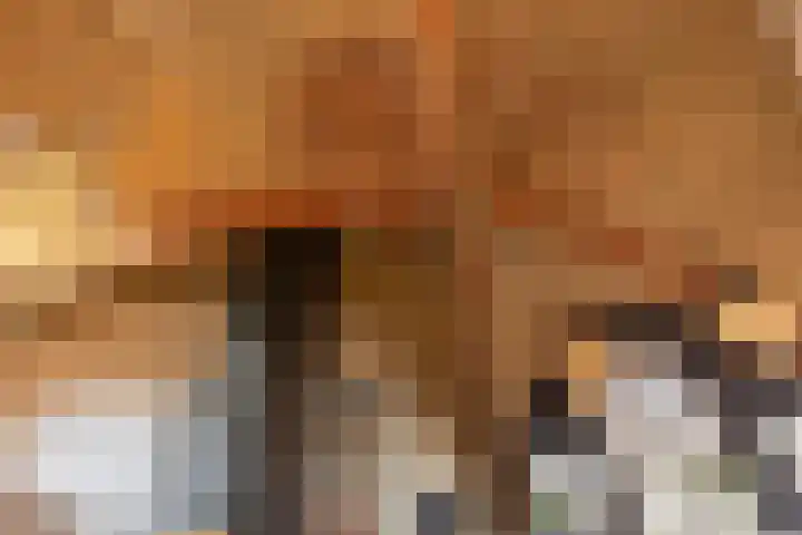 Brinklaan 115 D 2 Bussum thumbnail 10