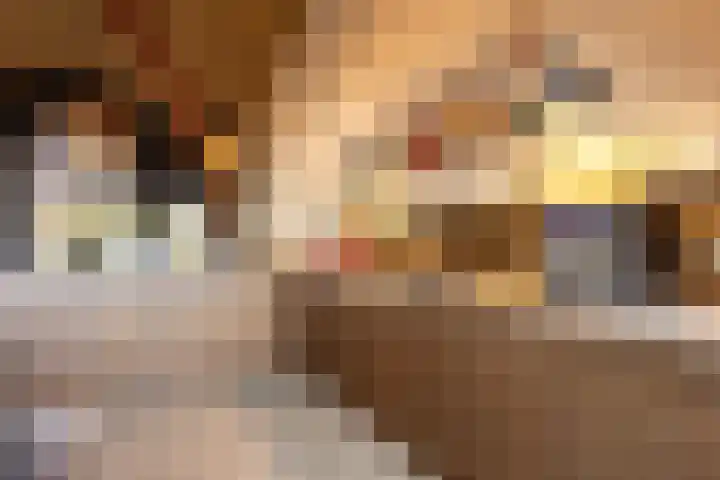 Brinklaan 115 D 2 Bussum thumbnail 12