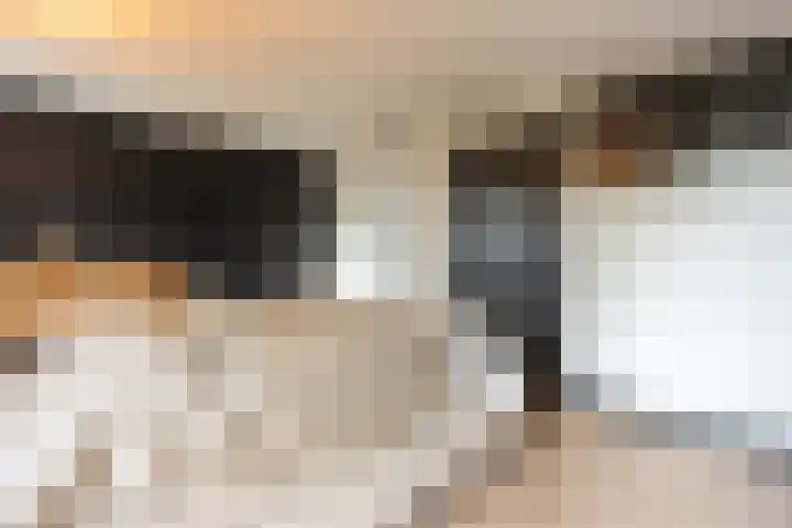 Brinklaan 115 D 2 Bussum thumbnail 18