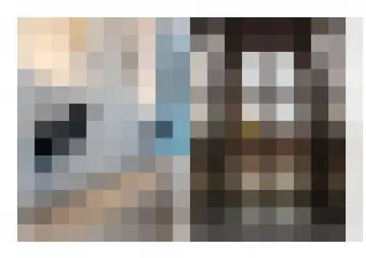 Brinklaan 115 D 2 Bussum thumbnail 19