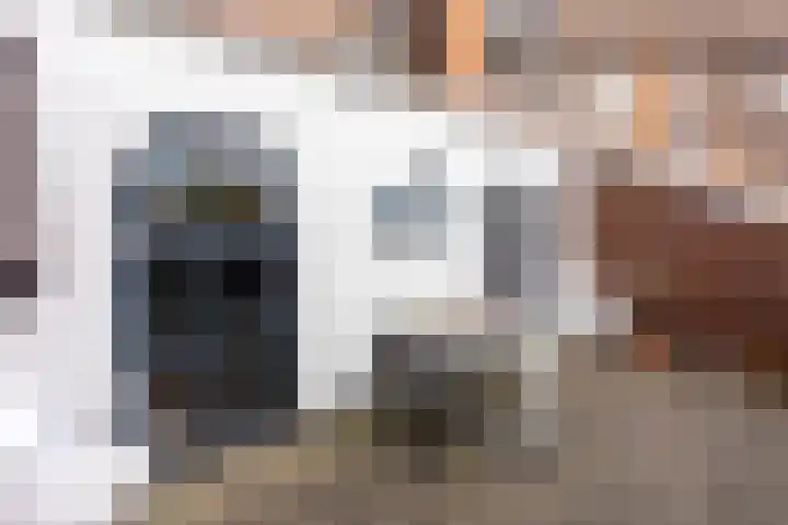 Brinklaan 115 D 2 Bussum thumbnail 20