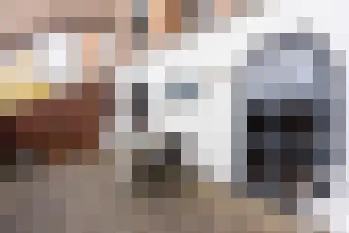 Brinklaan 115 D 2 Bussum thumbnail 21