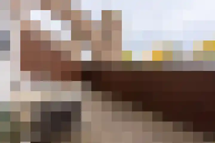 Brinklaan 115 D 2 Bussum thumbnail 23