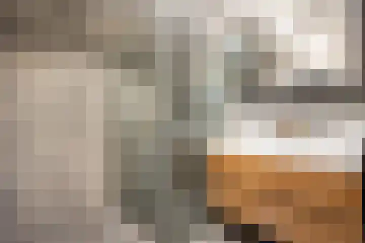 Brinklaan 115 D 2 Bussum thumbnail 25