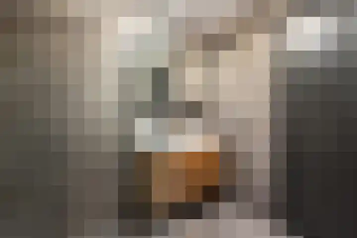 Brinklaan 115 D 2 Bussum thumbnail 26