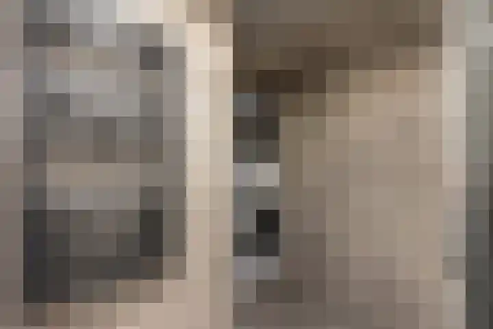 Brinklaan 115 D 2 Bussum thumbnail 28