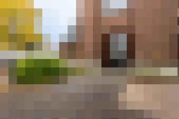 Brinklaan 115 D 2 Bussum thumbnail 30