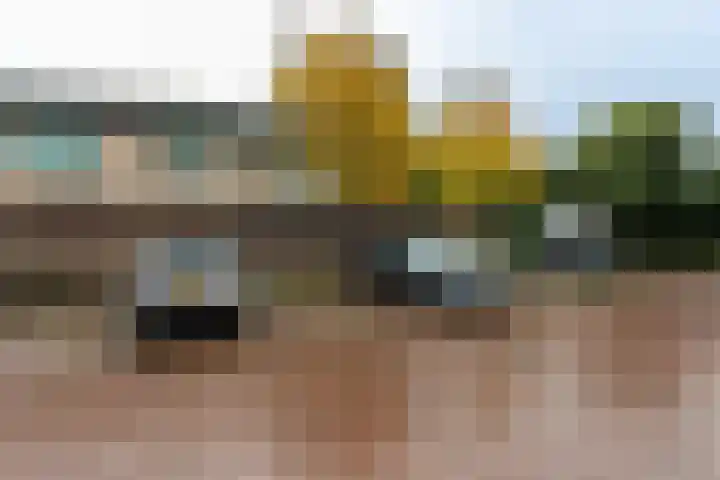 Brinklaan 115 D 2 Bussum thumbnail 34