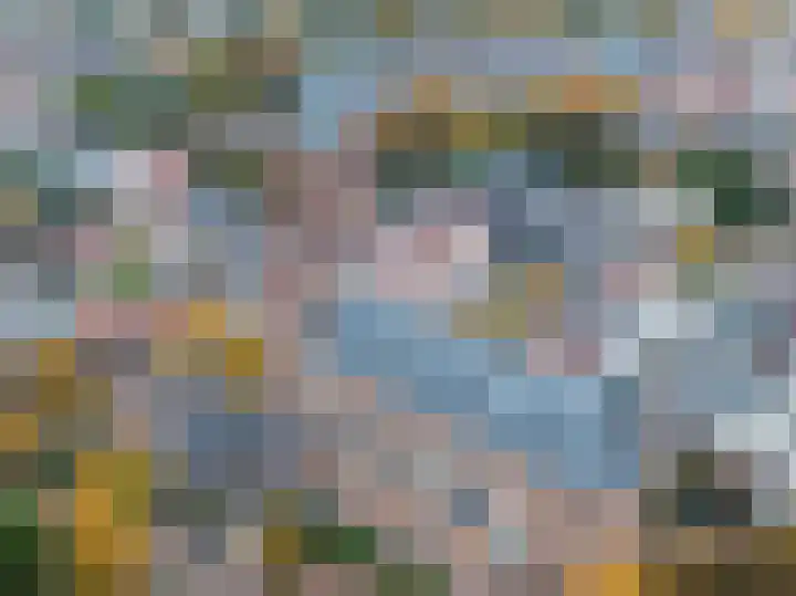Brinklaan 115 D 2 Bussum thumbnail 35