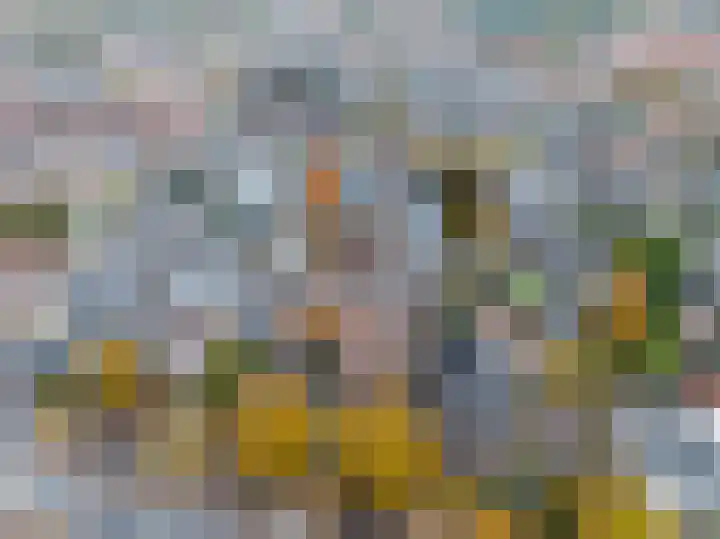 Brinklaan 115 D 2 Bussum thumbnail 37