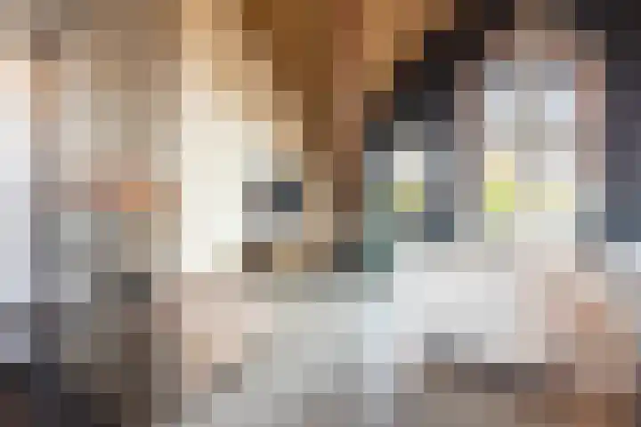 Brinklaan 115 D 2 Bussum thumbnail 6
