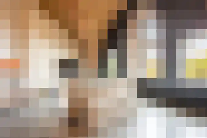 Brinklaan 115 D 2 Bussum thumbnail 8
