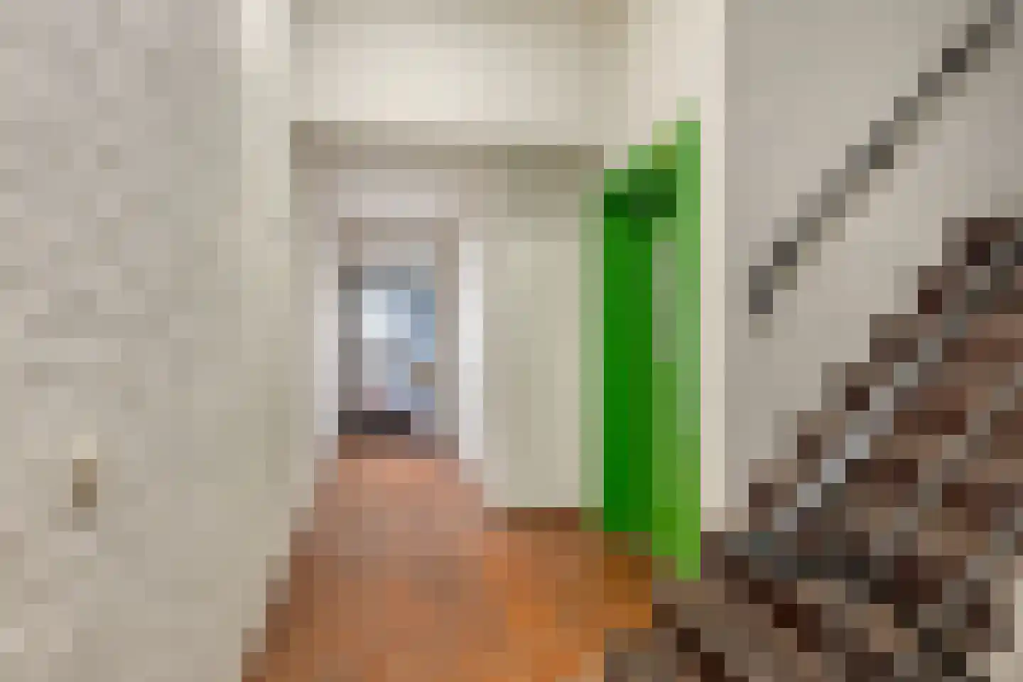 Brinklaan 118 Apeldoorn thumbnail 27