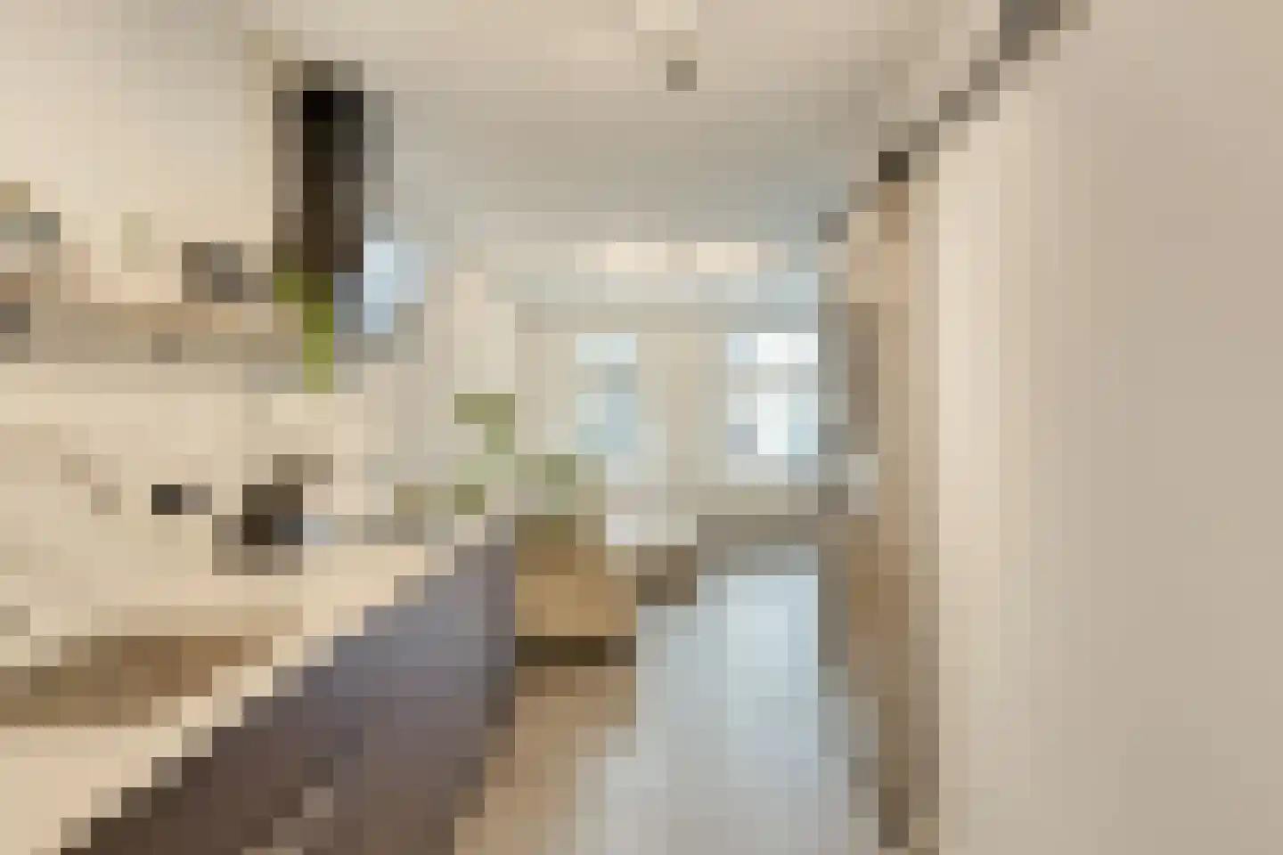 Brinklaan 118 Apeldoorn thumbnail 7