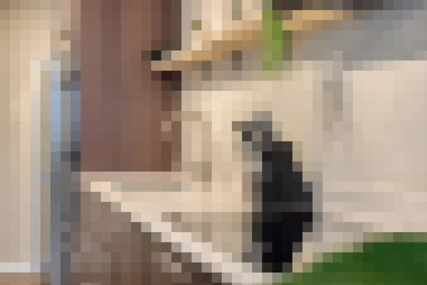 Brinklaan 118 Apeldoorn thumbnail 9