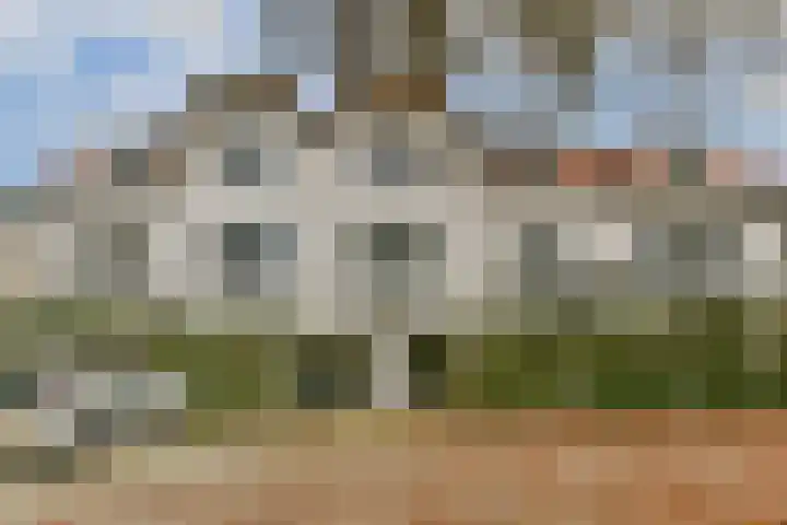 Brinklaan 124 C 6 Bussum