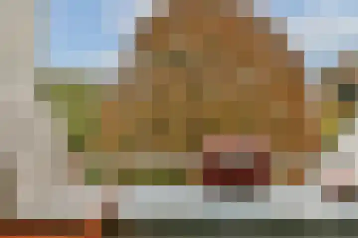 Brinklaan 124 C 6 Bussum thumbnail 18