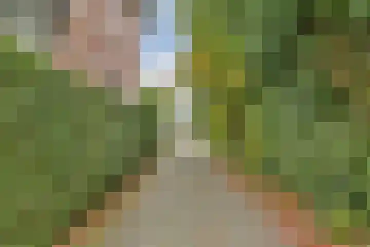 Brinklaan 124 C 6 Bussum thumbnail 26
