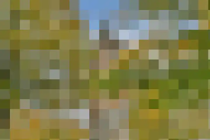 Brinklaan 124 C 6 Bussum thumbnail 27