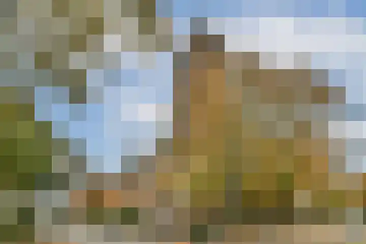 Brinklaan 124 C 6 Bussum thumbnail 28
