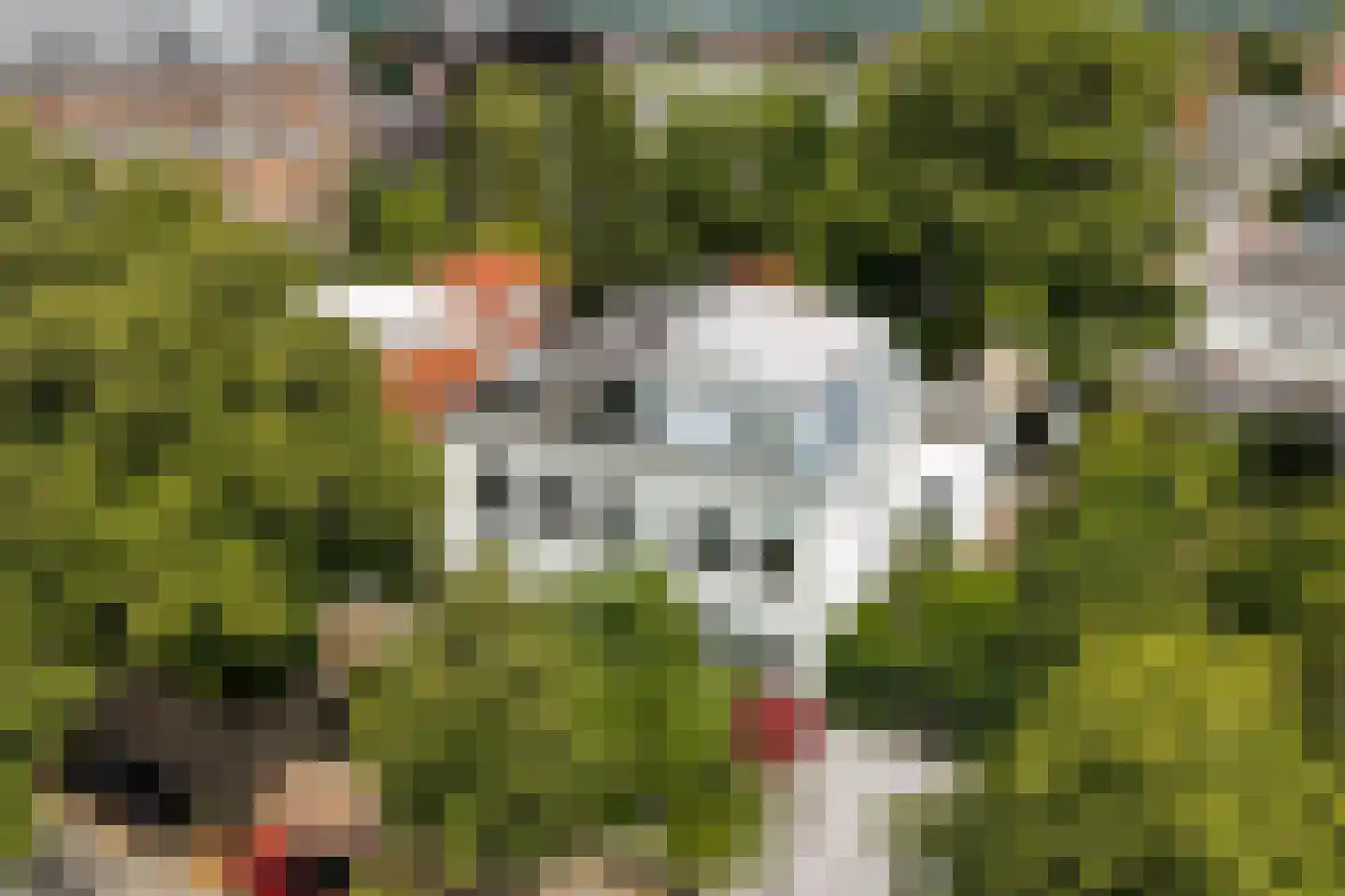 Brinklaan 129 Bussum thumbnail 23