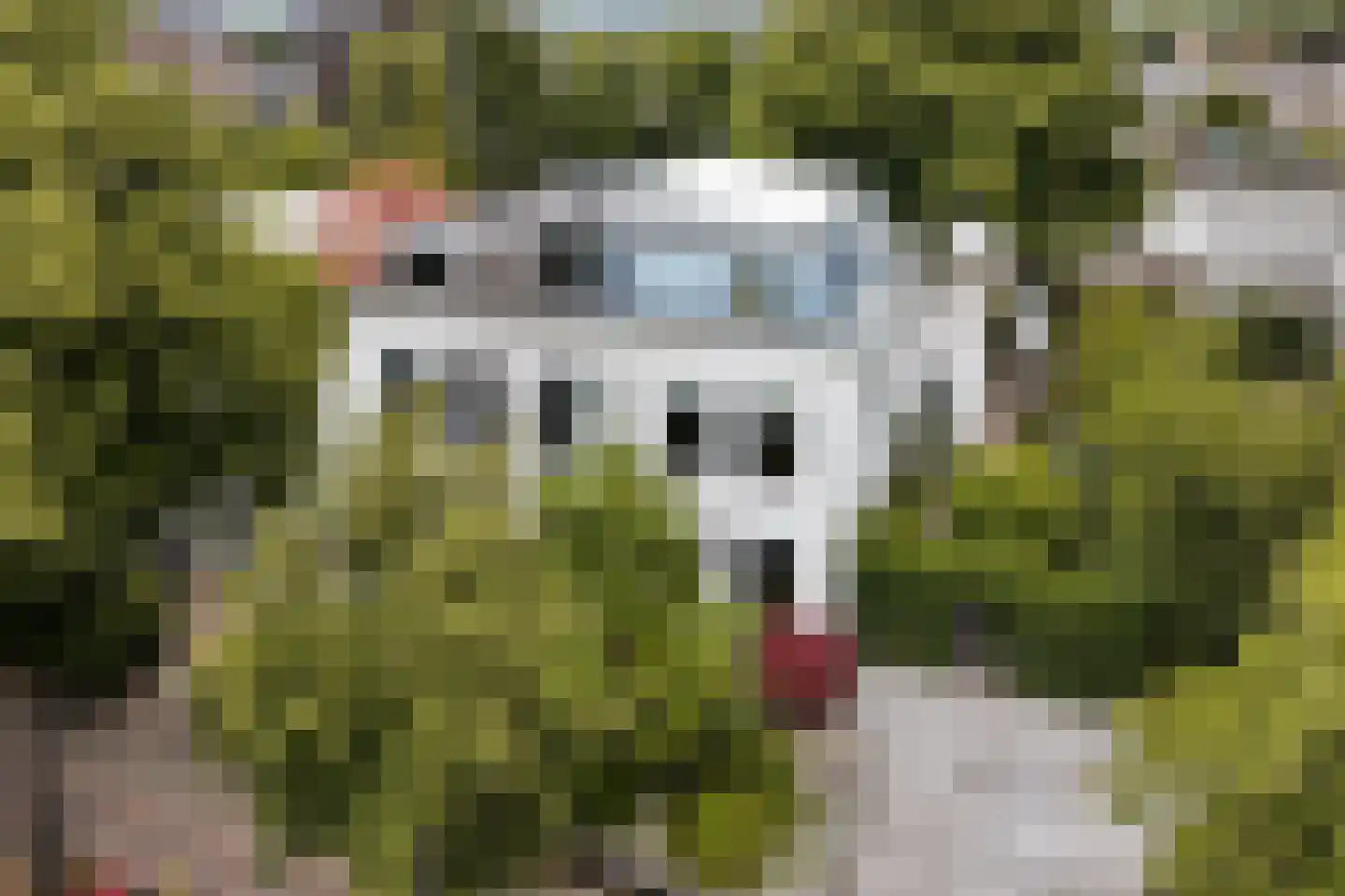 Brinklaan 129 Bussum thumbnail 25