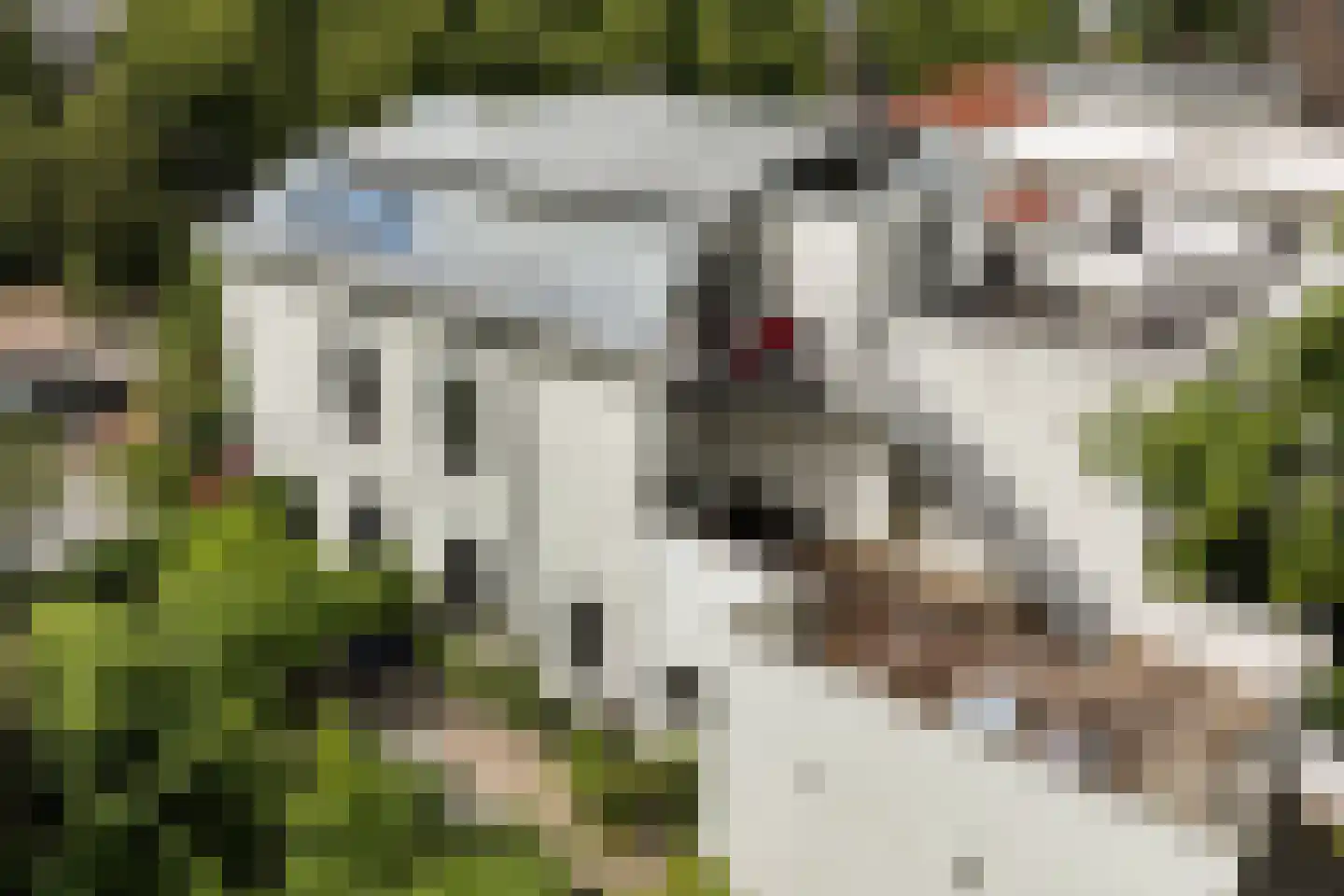 Brinklaan 129 Bussum thumbnail 26