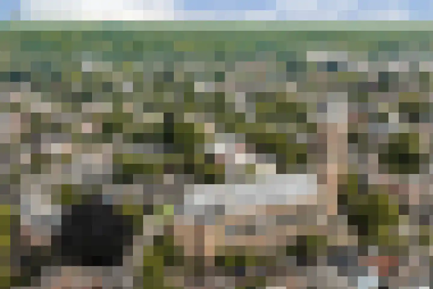 Brinklaan 129 Bussum thumbnail 27